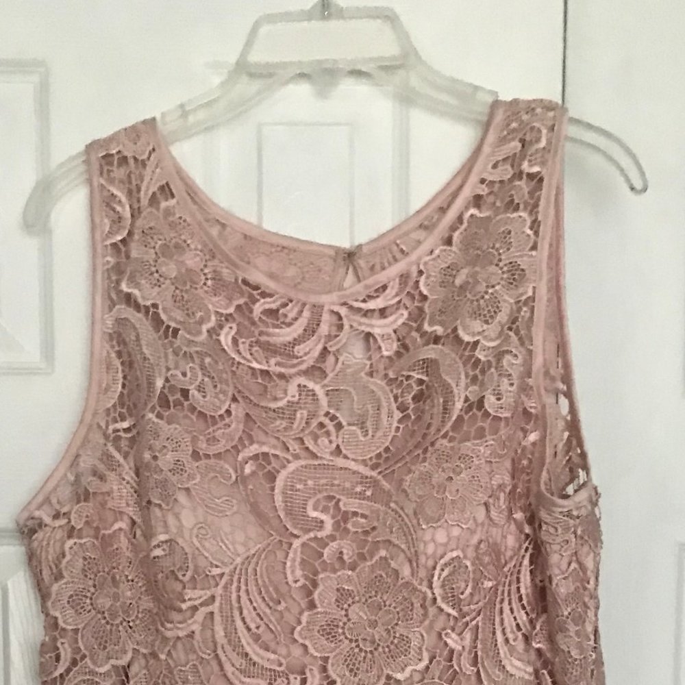 Adrianna Papel Size 14 Pink sheath dress with pink lace overlay